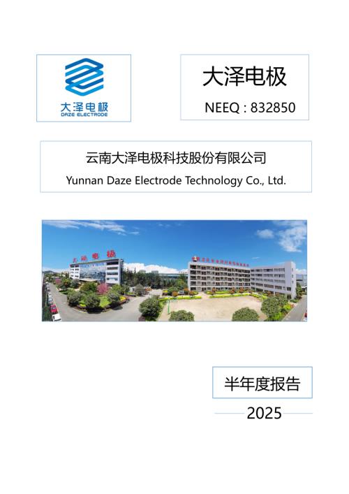 定期报告-大泽电极：2025年半年度报告.PDF