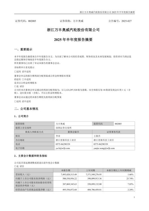 万丰奥威：2025年半年度报告摘要.PDF