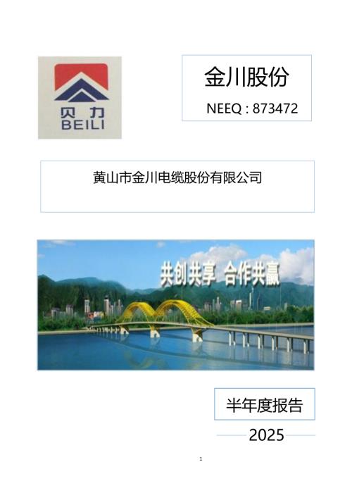 定期报告-金川股份：2025年半年度报告.PDF