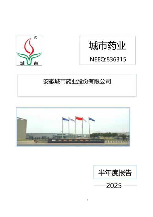 定期报告-城市药业：2025年半年度报告.PDF