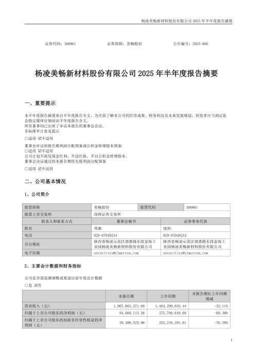 美畅股份：2025年半年度报告摘要.PDF
