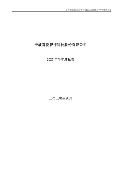 喜悦智行：2025年半年度报告.PDF