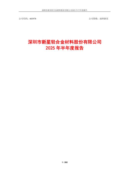 深圳新星：2025年半年度报告.PDF