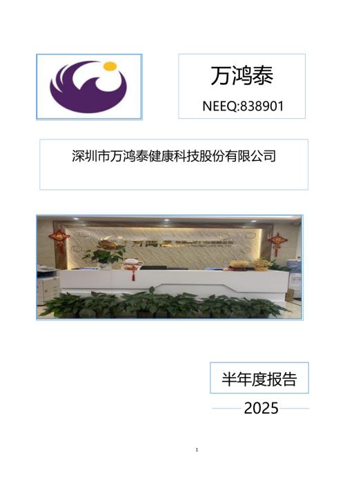 定期报告-万鸿泰：2025年半年度报告.PDF