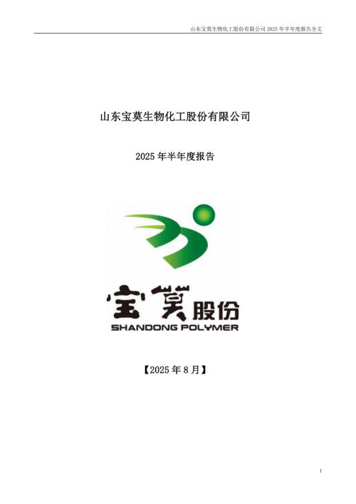 宝莫股份：2025年半年度报告.PDF