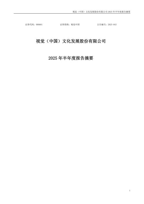视觉中国：2025年半年度报告摘要.PDF