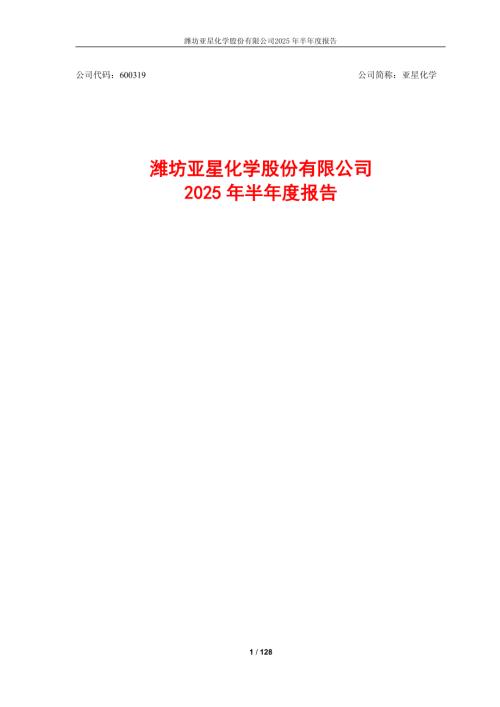 亚星化学：2025年半年度报告摘要2025年半年度报告.PDF