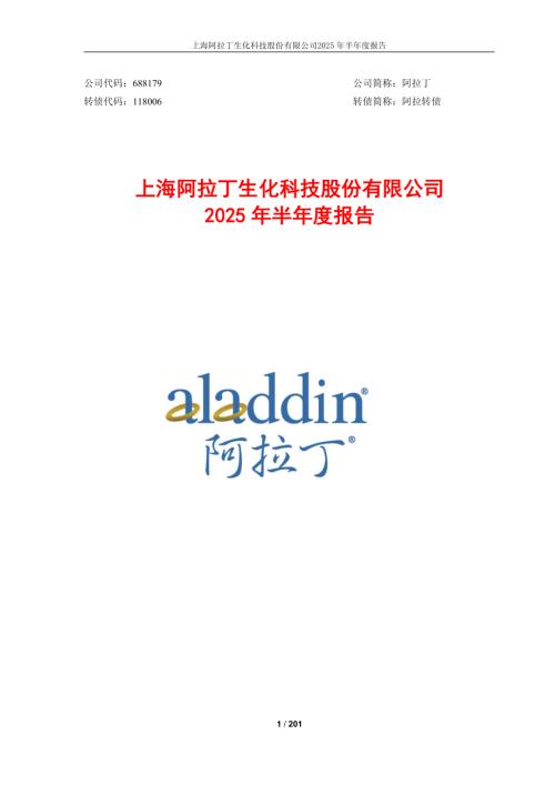 阿拉丁：阿拉丁2024年半年度报告.PDF