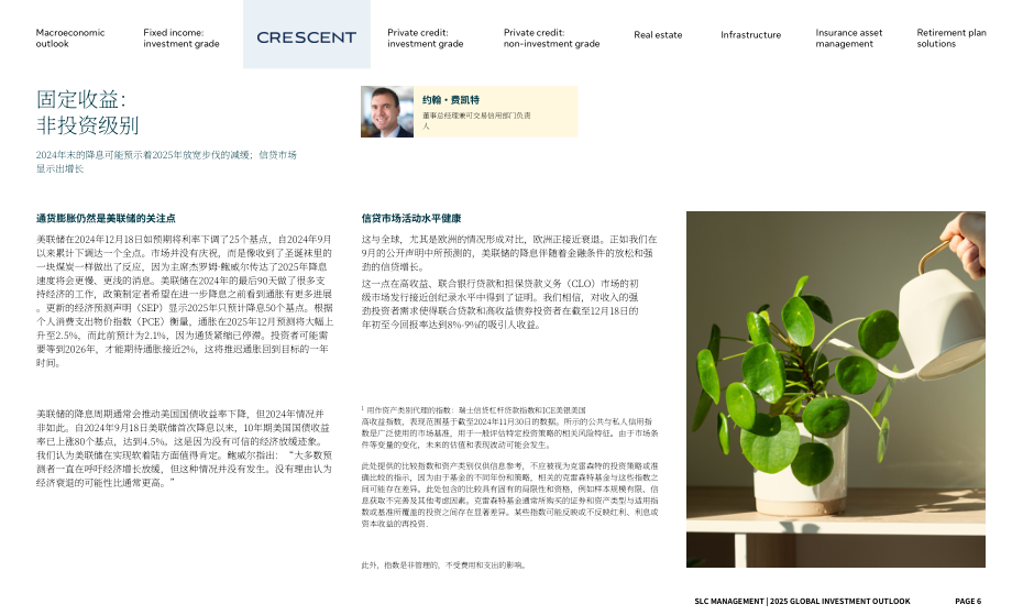 SLC Management：2025年全球投资展望报告：聚焦加拿大市场（英文版）（19页）.pdf_第6页