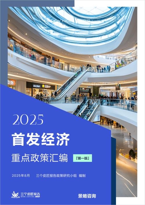 三个皮匠报告：2025首发经济重点政策汇编（第一版）（772页）.pdf