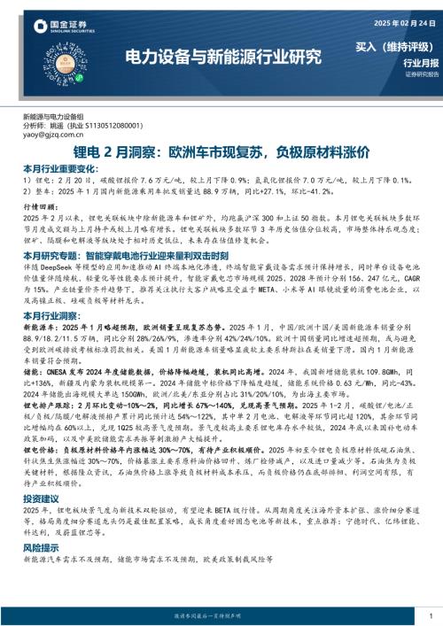 【国金证券】锂电2月洞察，欧洲车市现复苏，负极原材料涨价-250224（13页）.pdf