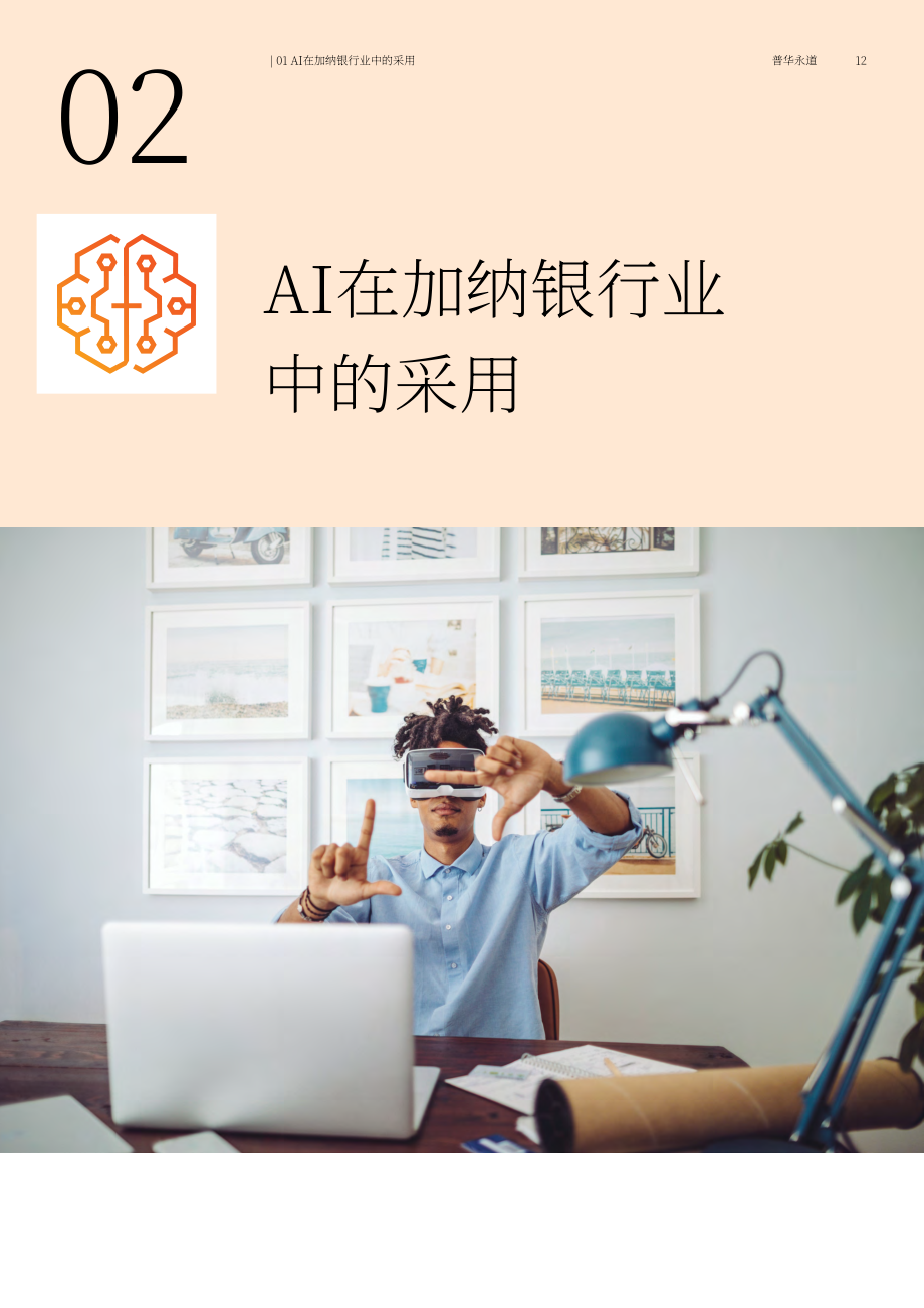 普华永道：2025加纳银行业中的AI&生成式AI应用研究报告（英文版）（74页）.pdf_第12页
