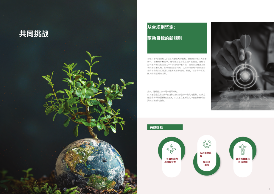 斐朋传播：2025当使命与影响力交融：商业领袖如何重构成功研究报告（英文版）（37页）.pdf_第5页