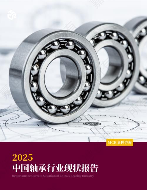 嘉世咨询：2025中国轴承行业现状报告（37页）.pdf