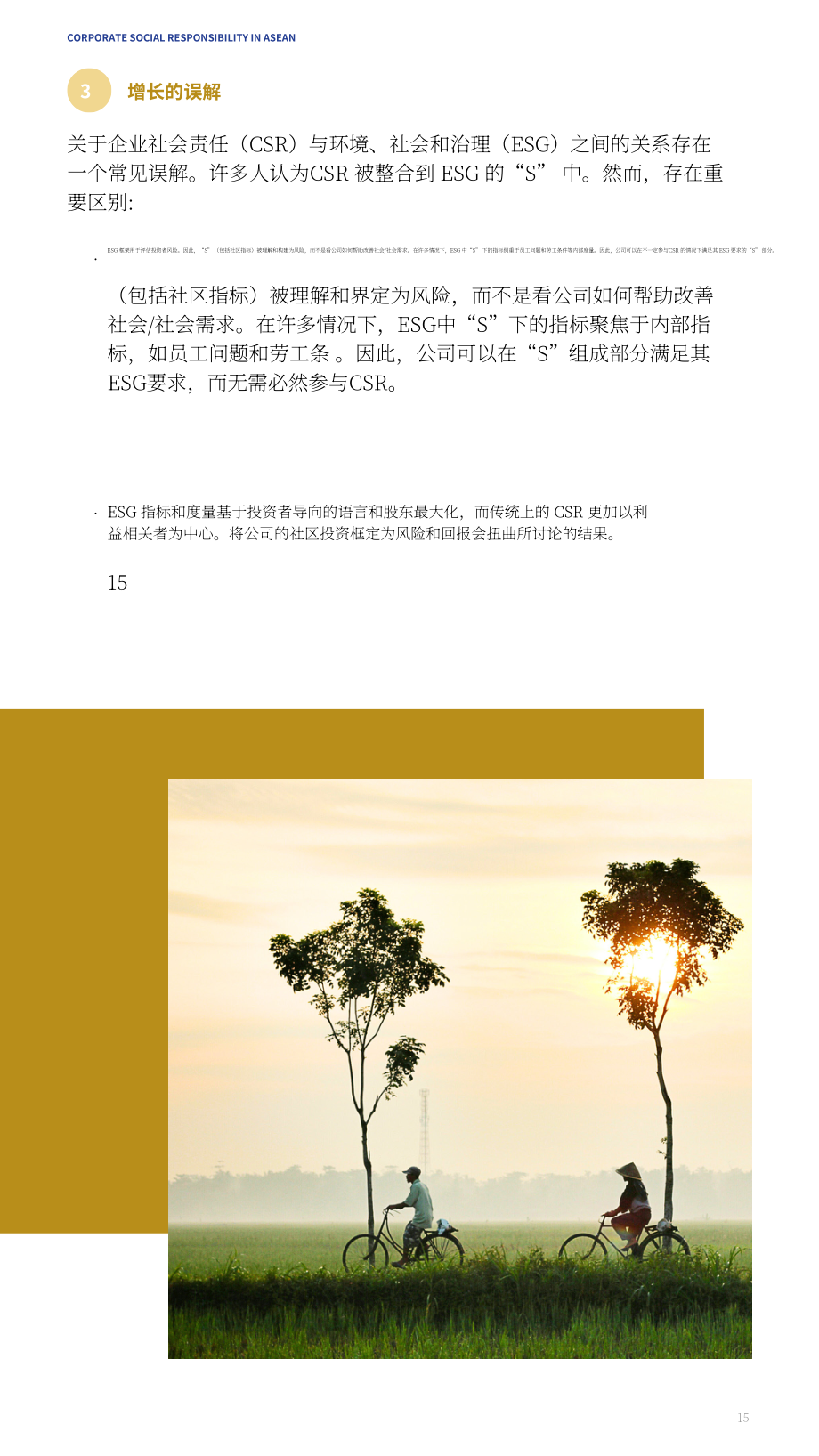亚洲公益事业研究中心（CAPS）：2025东盟企业社会责任报告（英文版）（73页）.pdf_第15页