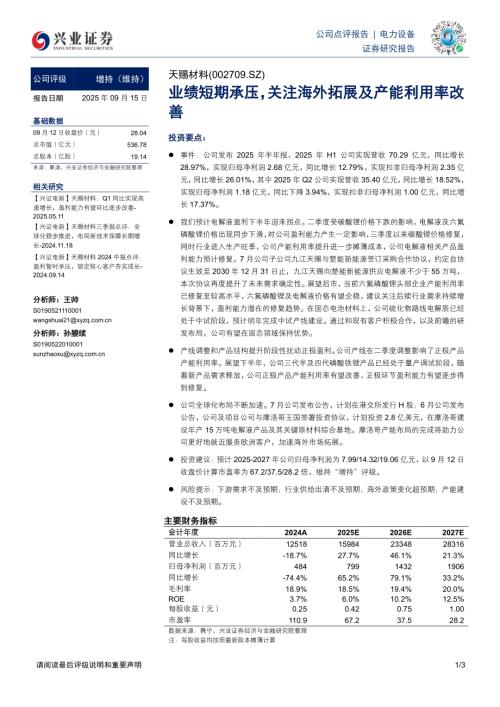 天赐材料(002709)-A股公司研究报告：业绩短期承压关注海外拓展及产能利用率改善-250915（3页）.pdf