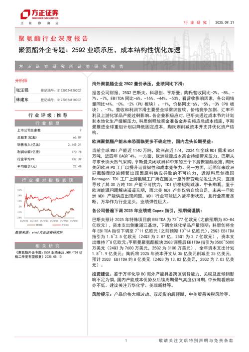 巴斯夫营收及变化_第3页