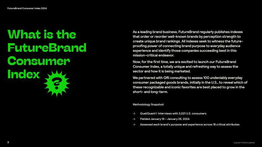 FutureBrand：2024未来品牌消费品品牌指数报告（英文版）（19页）.pdf_第3页