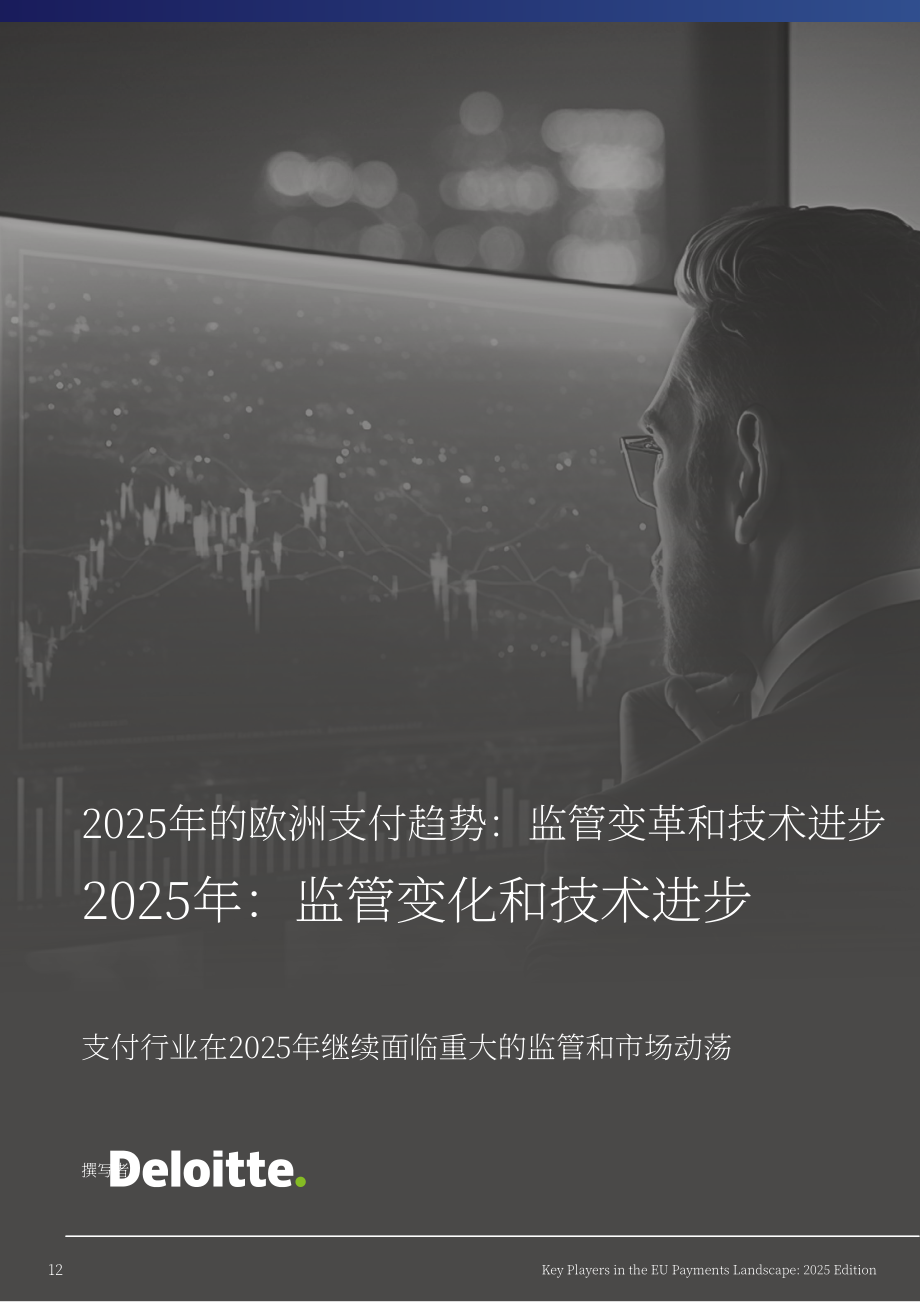 德勤&The Paypers：2025年欧洲支付领域的主要参与者研究报告（英文版）（258页）.pdf_第12页