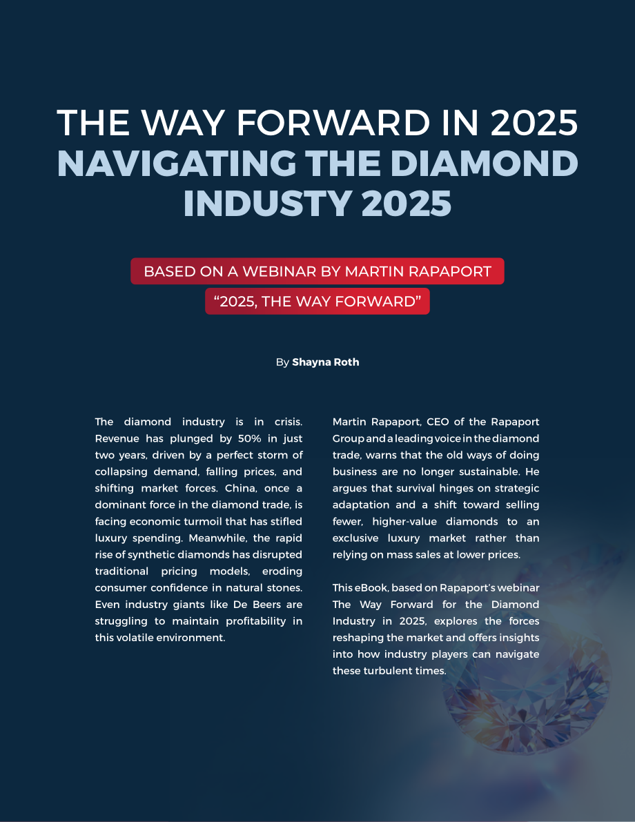 RapNet：前行之路：2025年钻石行业研究报告（英文版）（18页）.pdf_第2页