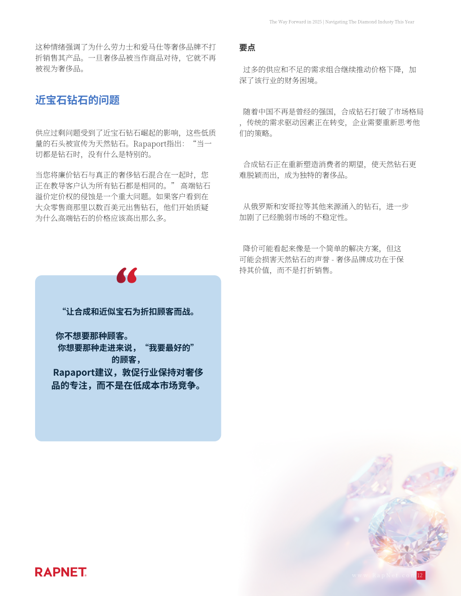 RapNet：前行之路：2025年钻石行业研究报告（英文版）（18页）.pdf_第12页
