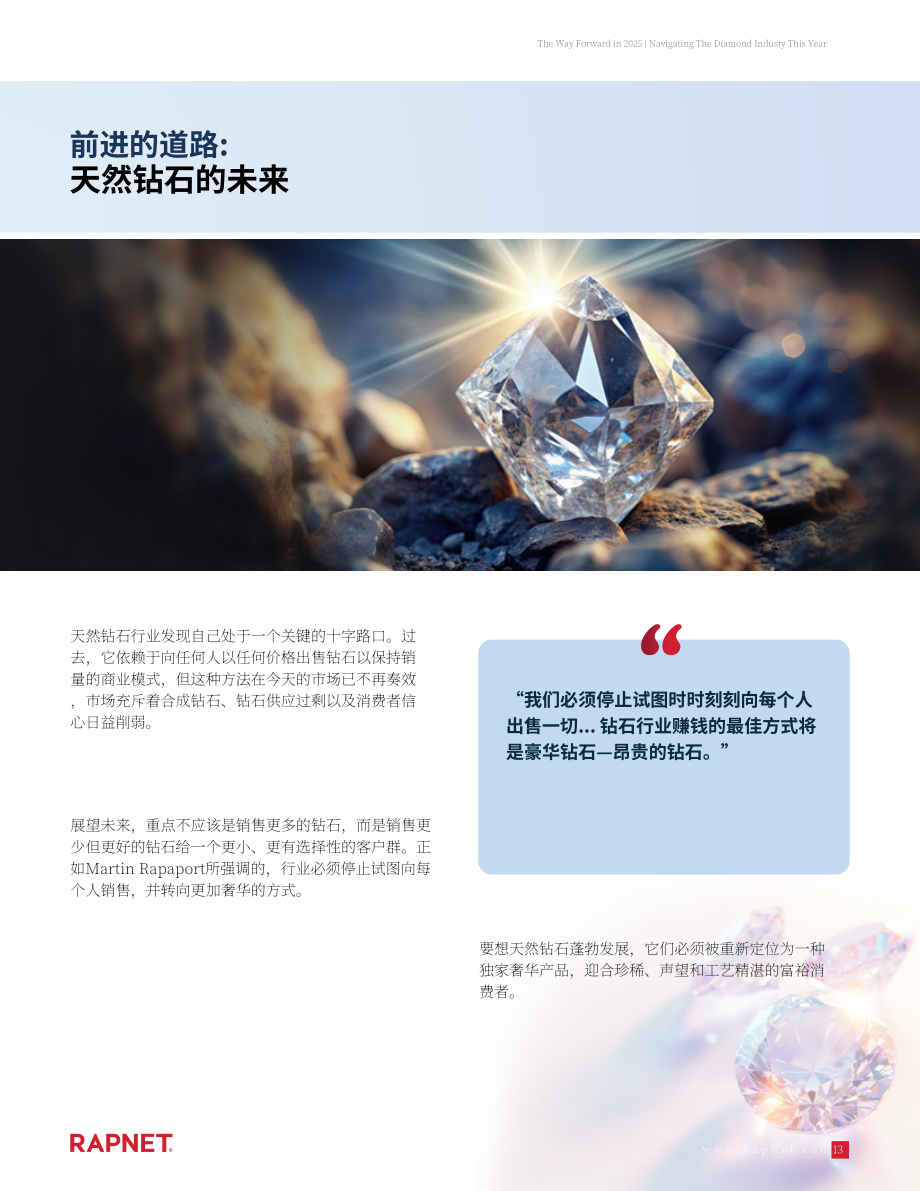 RapNet：前行之路：2025年钻石行业研究报告（英文版）（18页）.pdf_第13页