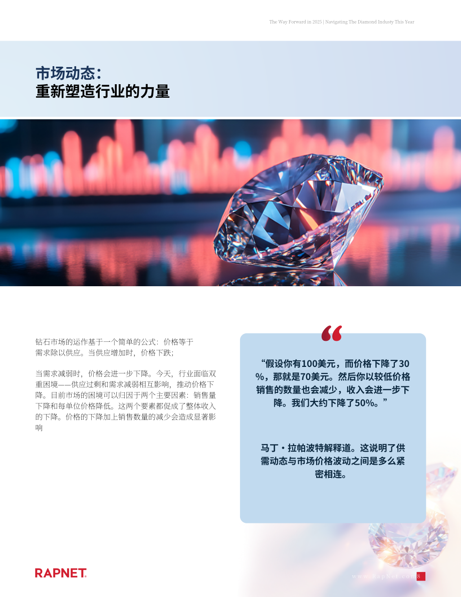 RapNet：前行之路：2025年钻石行业研究报告（英文版）（18页）.pdf_第8页