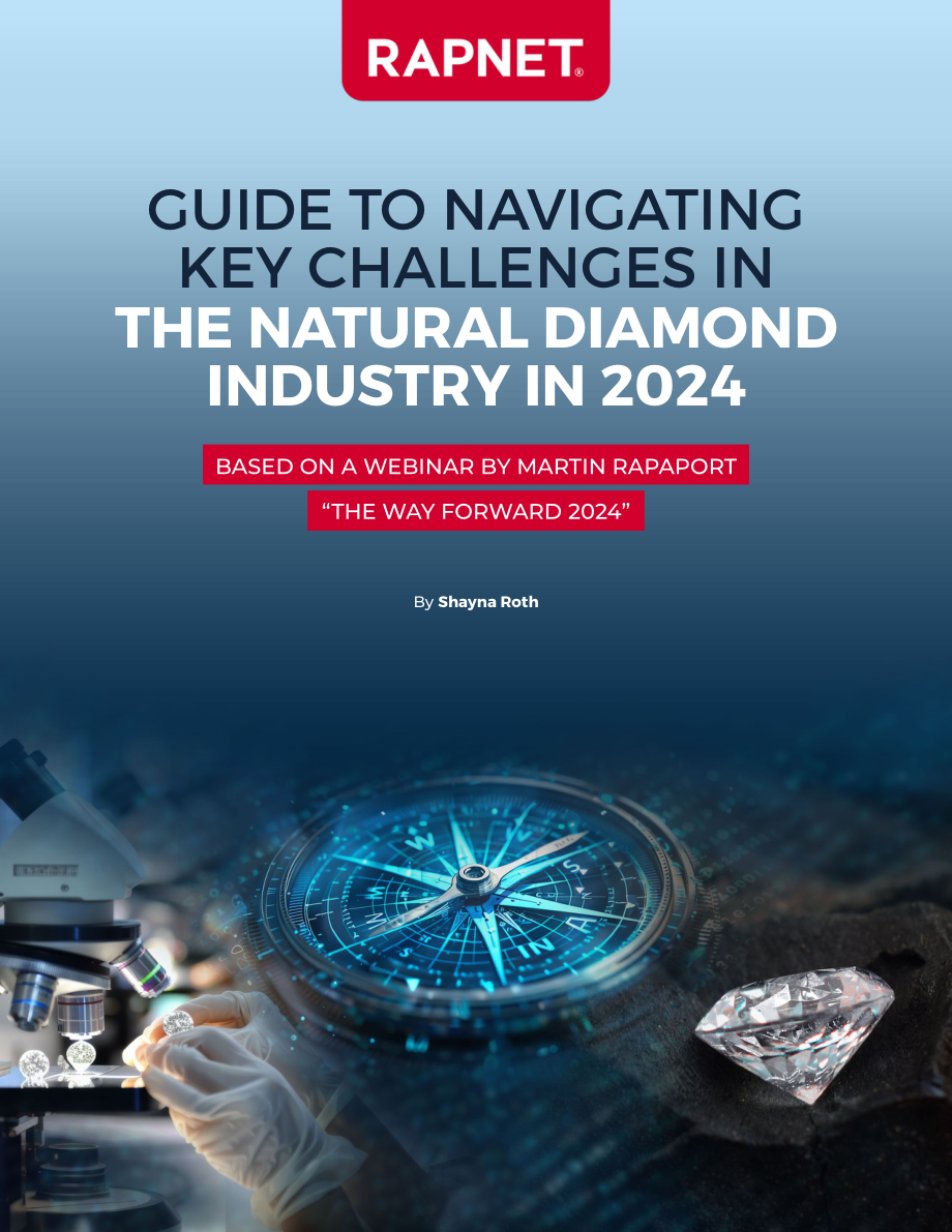 RapNet：2024年天然钻石行业关键挑战应对指南（英文版）（20页）.pdf_第1页