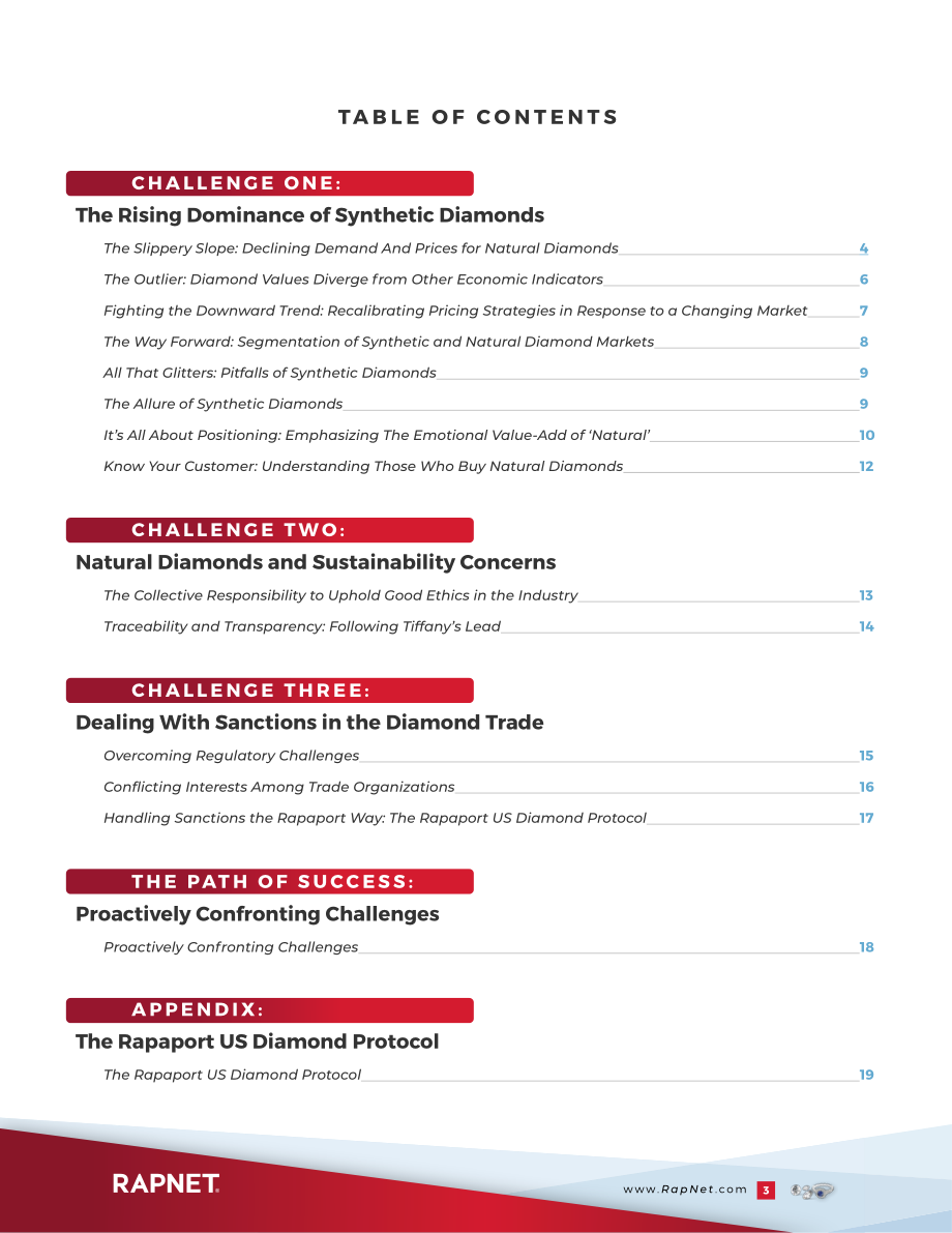 RapNet：2024年天然钻石行业关键挑战应对指南（英文版）（20页）.pdf_第3页