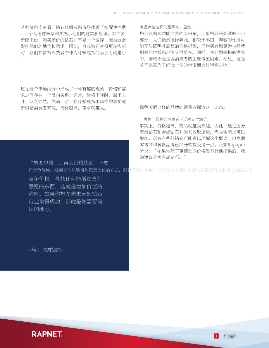 RapNet：2024年天然钻石行业关键挑战应对指南（英文版）（20页）.pdf_第11页
