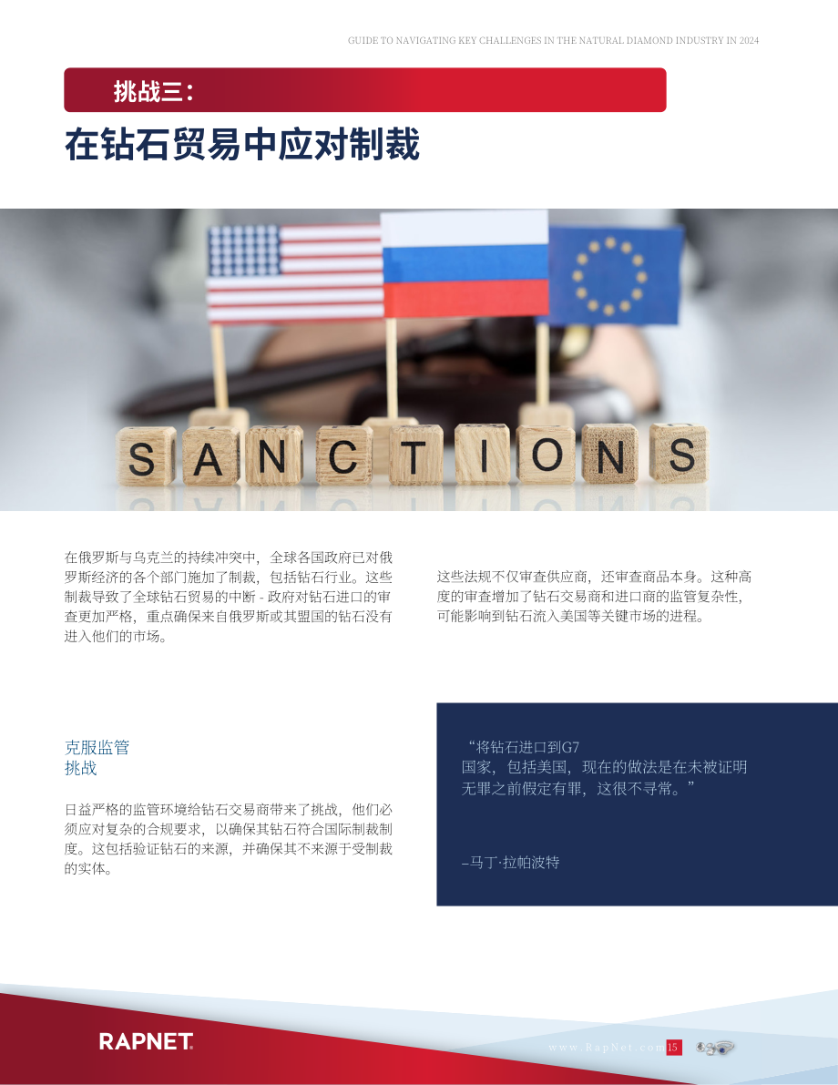 RapNet：2024年天然钻石行业关键挑战应对指南（英文版）（20页）.pdf_第15页
