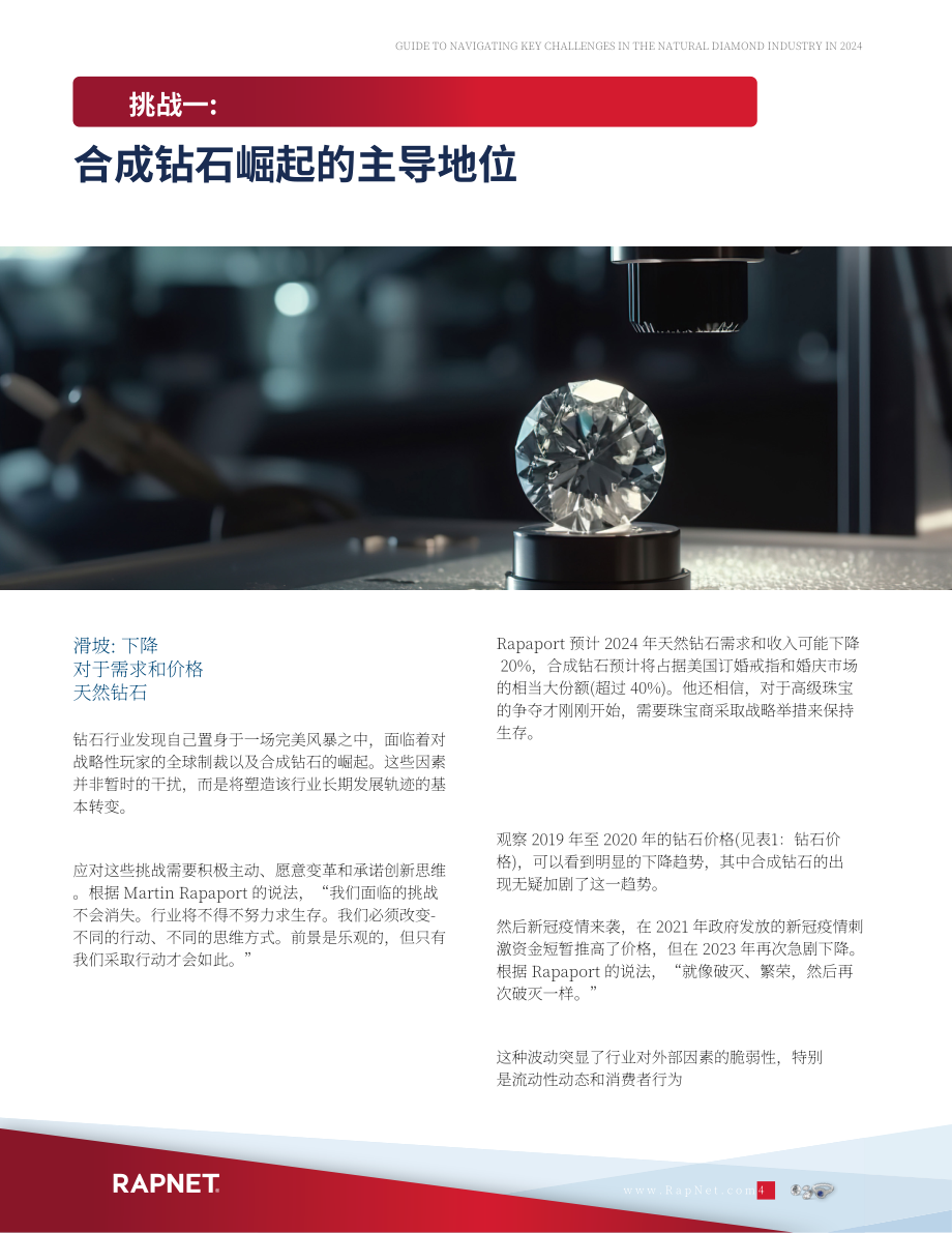 RapNet：2024年天然钻石行业关键挑战应对指南（英文版）（20页）.pdf_第4页