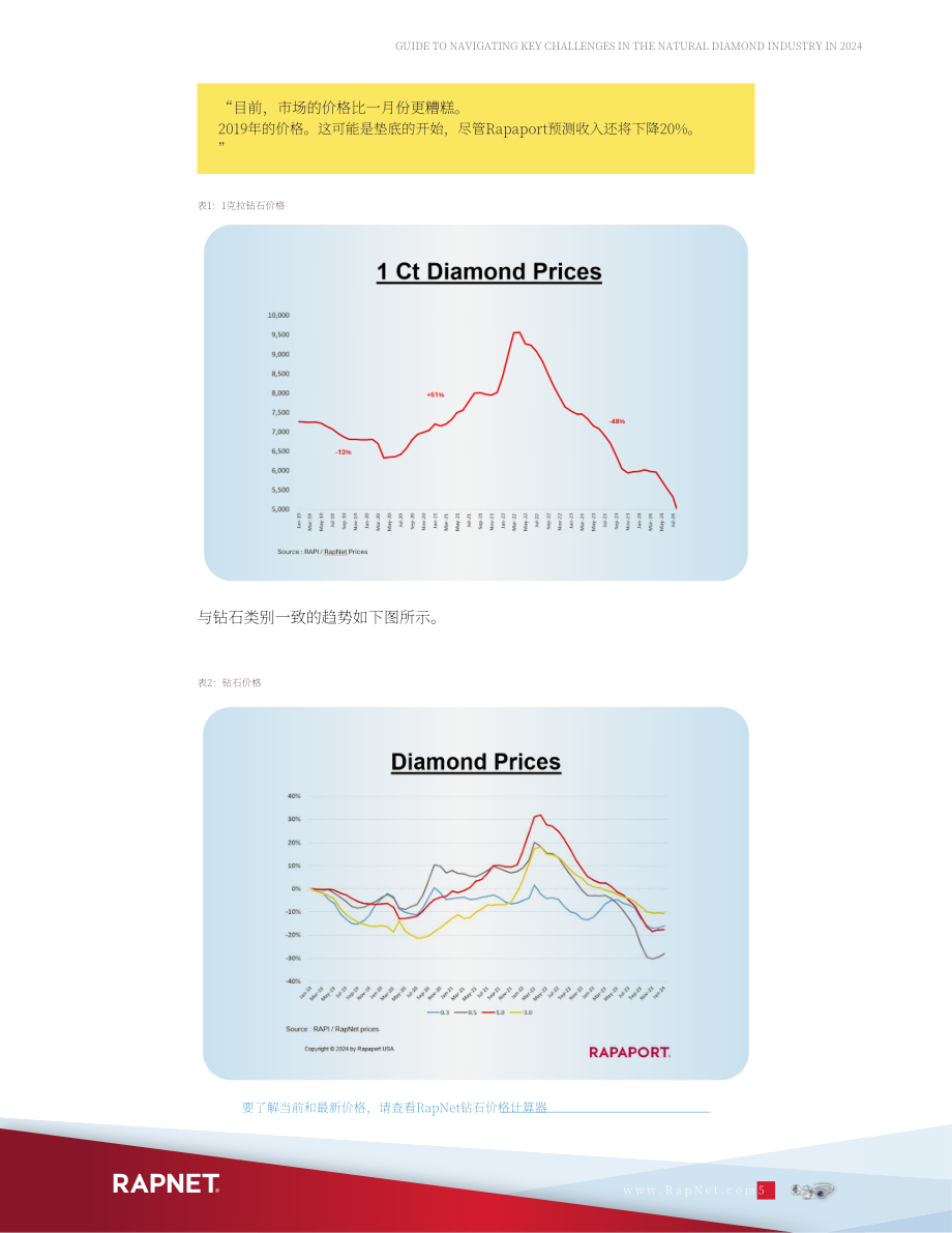 RapNet：2024年天然钻石行业关键挑战应对指南（英文版）（20页）.pdf_第5页