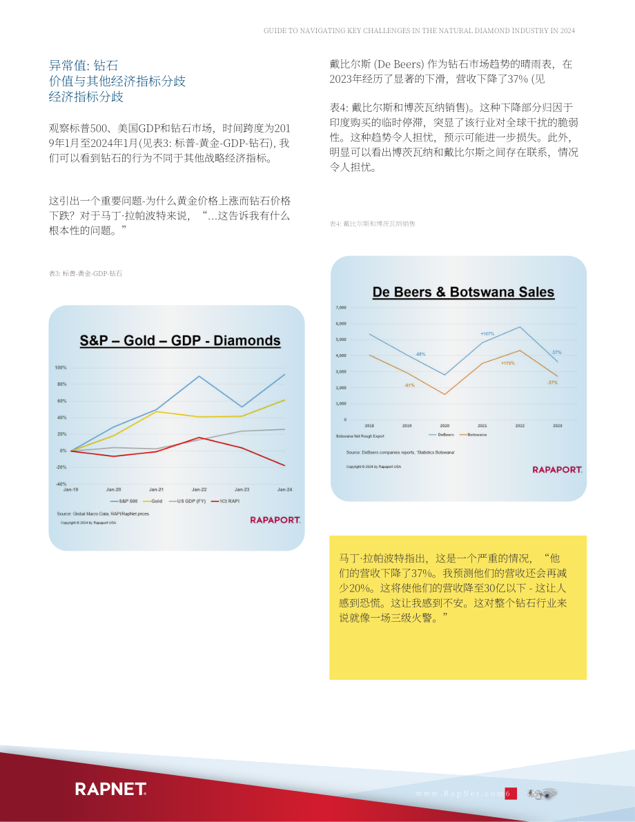 RapNet：2024年天然钻石行业关键挑战应对指南（英文版）（20页）.pdf_第6页