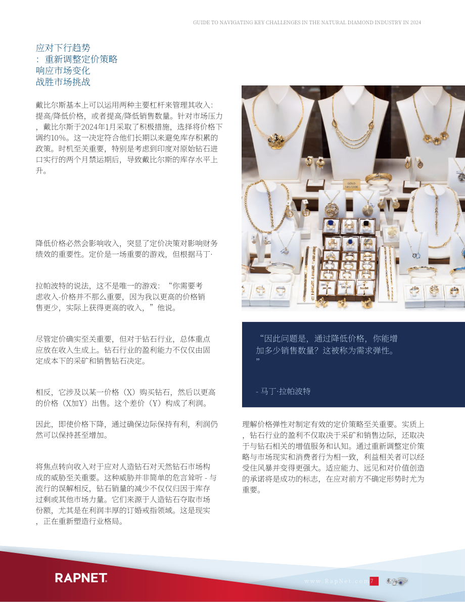 RapNet：2024年天然钻石行业关键挑战应对指南（英文版）（20页）.pdf_第7页
