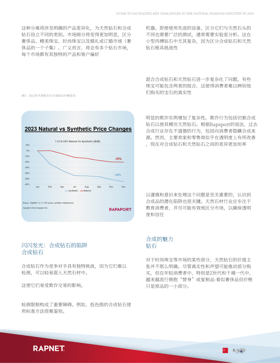 RapNet：2024年天然钻石行业关键挑战应对指南（英文版）（20页）.pdf_第9页