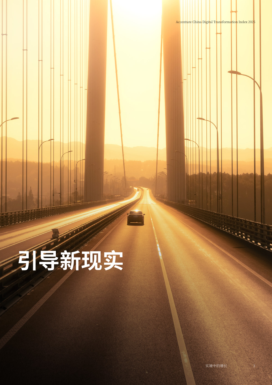 埃森哲：新格局 新增长-2025中国企业数字化转型指数报告（英文版）（28页）.pdf_第3页