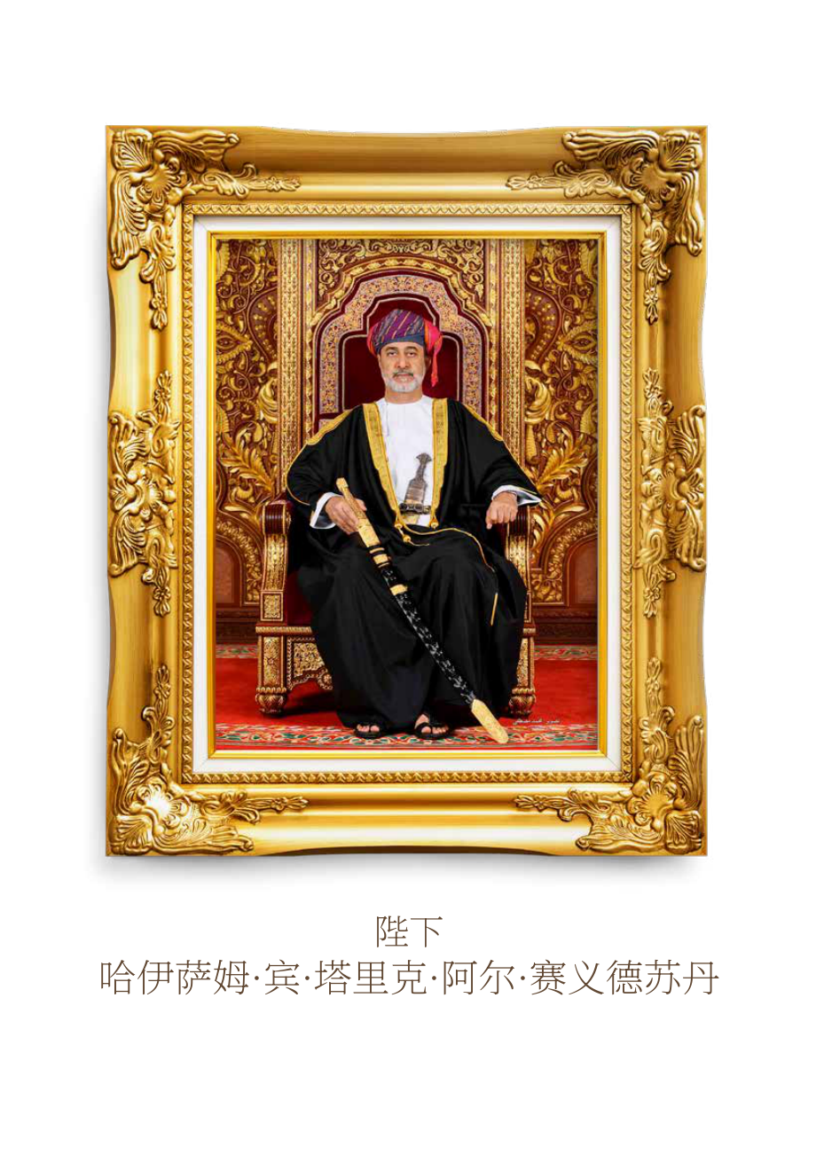 全球创业观察（GEM）：2024-2025年阿曼创业观察报告（英文版）（114页）.pdf_第4页