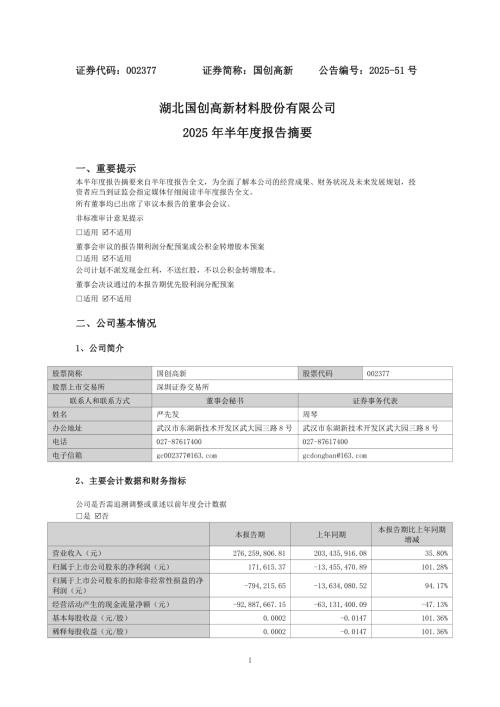 国创高新：2025年半年度报告摘要.PDF