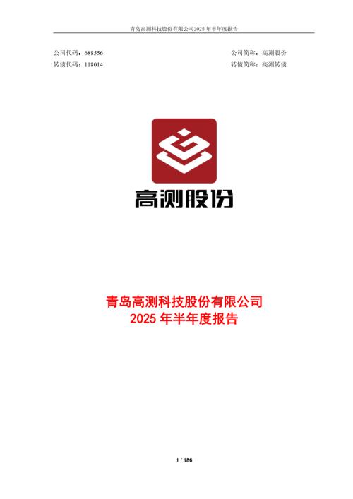 高测股份：2025年半年度报告.PDF