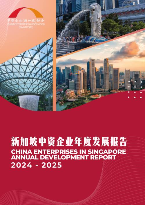 中资企业新加坡协会：新加坡中资企业年度发展报告（2024-2025）（中英双语版）（93页）.pdf