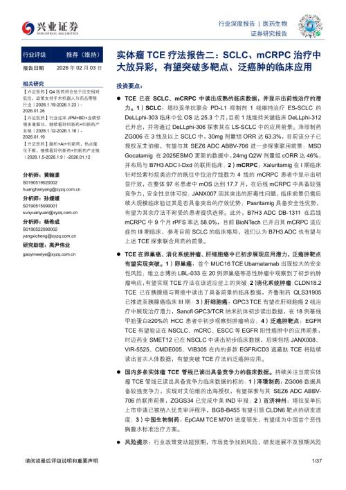 医药生物行业深度报告：实体瘤TCE疗法报告二SCLC、mCRPC治疗中大放异彩有望突破多靶点、泛癌肿的临床应用-260203（37页）.pdf