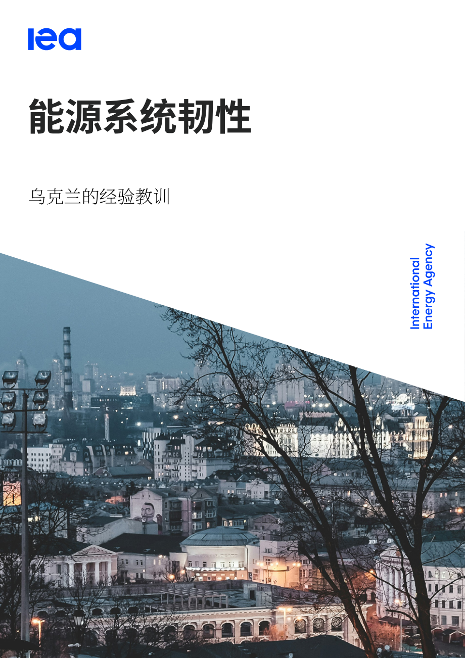 国际能源署（IEA）：2026能源系统韧性：乌克兰经验启示报告（英文版）（39页）.pdf_第1页