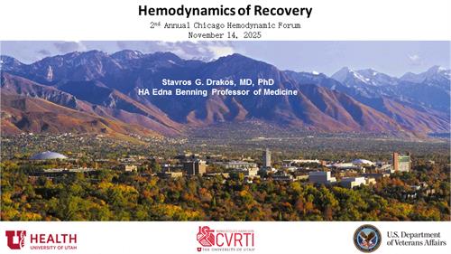 Chicago Hemodynamics talk.11.13.25 v2.pptx