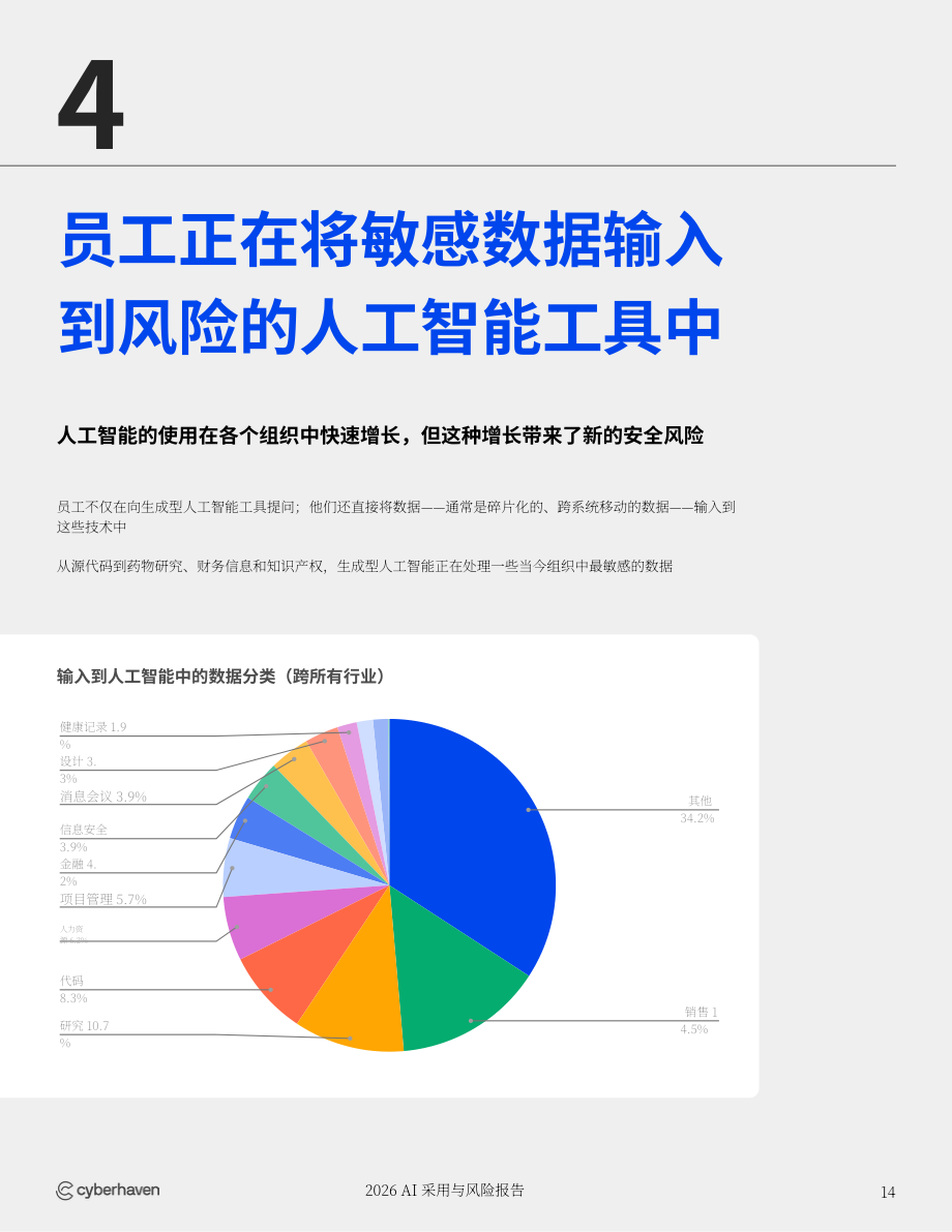Cyberhaven ：2026年企业AI应用与风险报告（英文版）（20页）.pdf_第14页