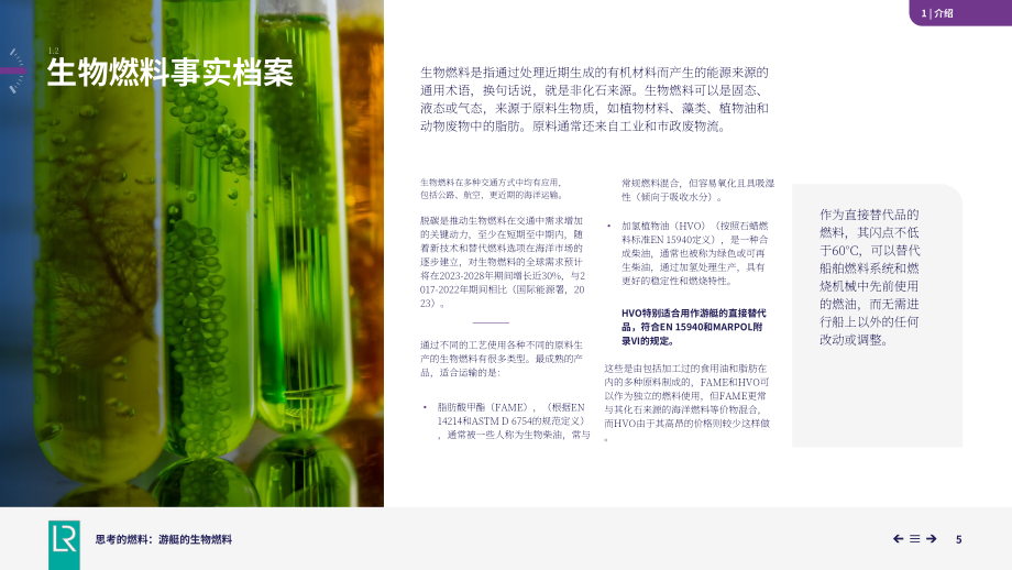 劳氏船级社：2025可替代燃料系列报告之游艇用生物燃料（英文版）（39页）.pdf_第5页