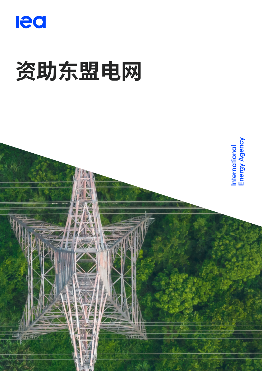 国际能源署（IEA）：2026东盟电网融资分析报告（英文版）（123页）.pdf_第1页
