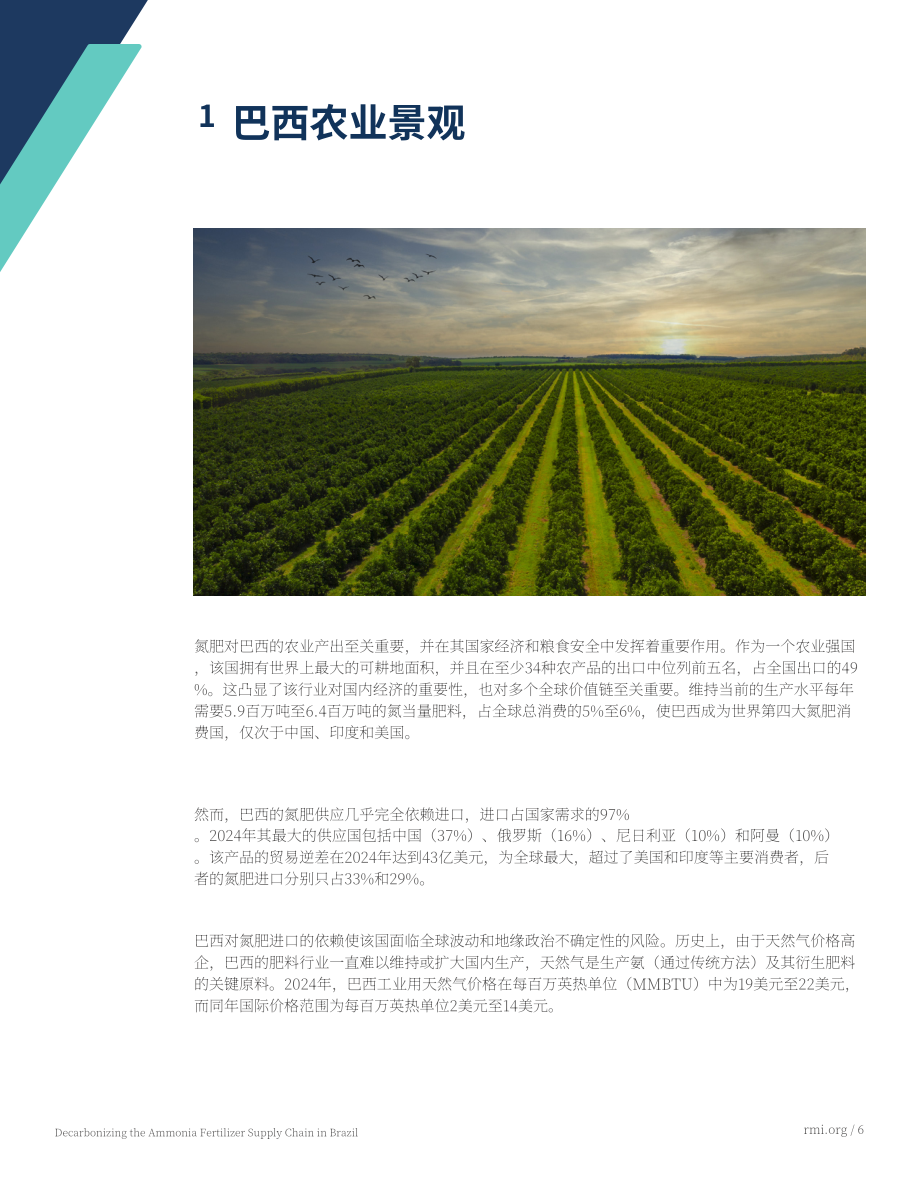 落基山研究所：2025巴西氨肥供应链脱碳：强化本土产业的即刻行动研究报告（英文版）（19页）.pdf_第6页