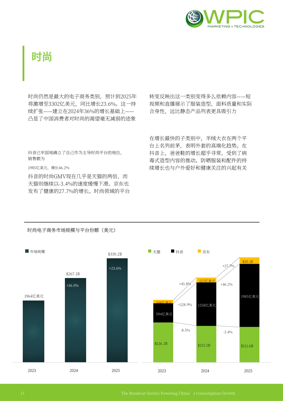 WPIC：2026赋能中国消费增长的爆发式赛道研究报告：2023–2025年电商数据分析（英文版）（27页）.pdf_第13页