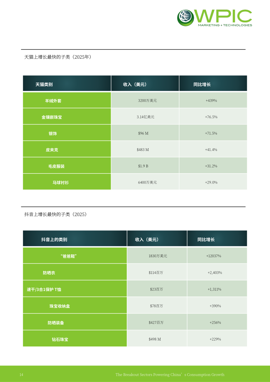 WPIC：2026赋能中国消费增长的爆发式赛道研究报告：2023–2025年电商数据分析（英文版）（27页）.pdf_第14页